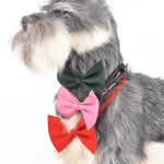 Collar con Pajarita Elegante FURLUXE™ | Accesorio Premium para Perros y Gatos