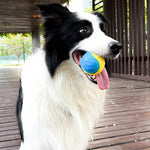 Pelota Interactiva de Limpieza Dental FURLUXE™ | Juguete TPR Resistente para Perros
