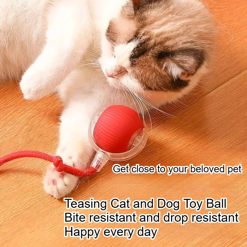 Pelota Saltarina con Cuerda FURLUXE™ | Juguete Autoentretenimiento para Gatos y Perros