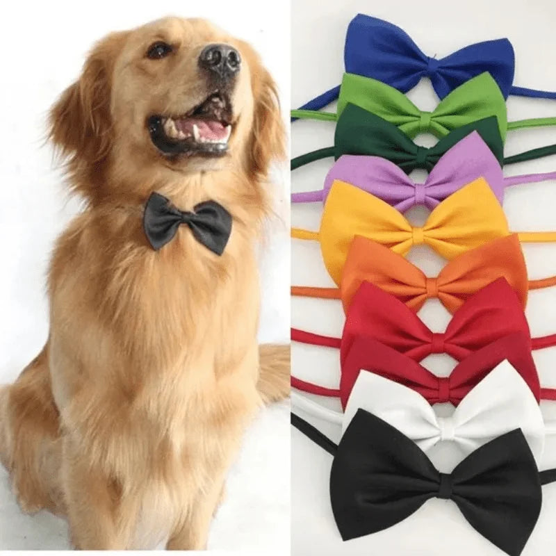 Collar con Pajarita Elegante FURLUXE™ | Accesorio Premium para Perros y Gatos